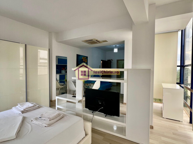 Apartament de inchiriat cu o camera in Iasi, zona Copou - poza 3