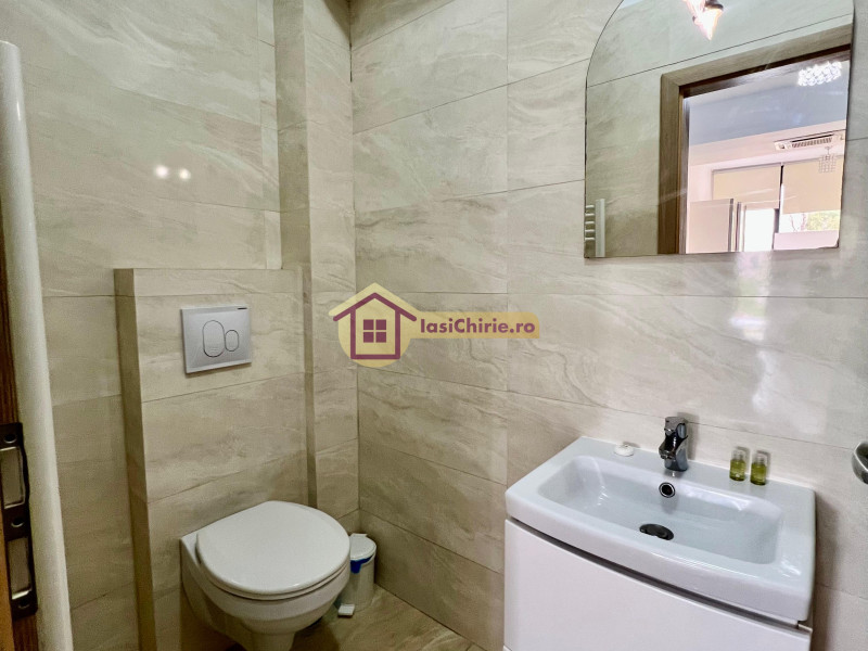 Apartament de inchiriat cu o camera in Iasi, zona Copou - Poza 13