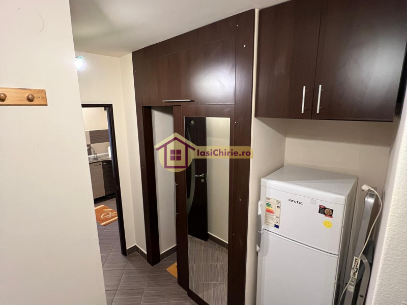 Apartament de inchiriat cu o camera in Iasi, zona Pacurari - Poza 5