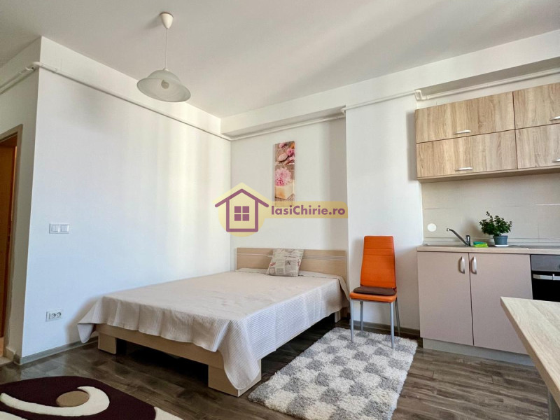 Apartament de inchiriat cu o camera in Iasi, zona Tatarasi - poza 2