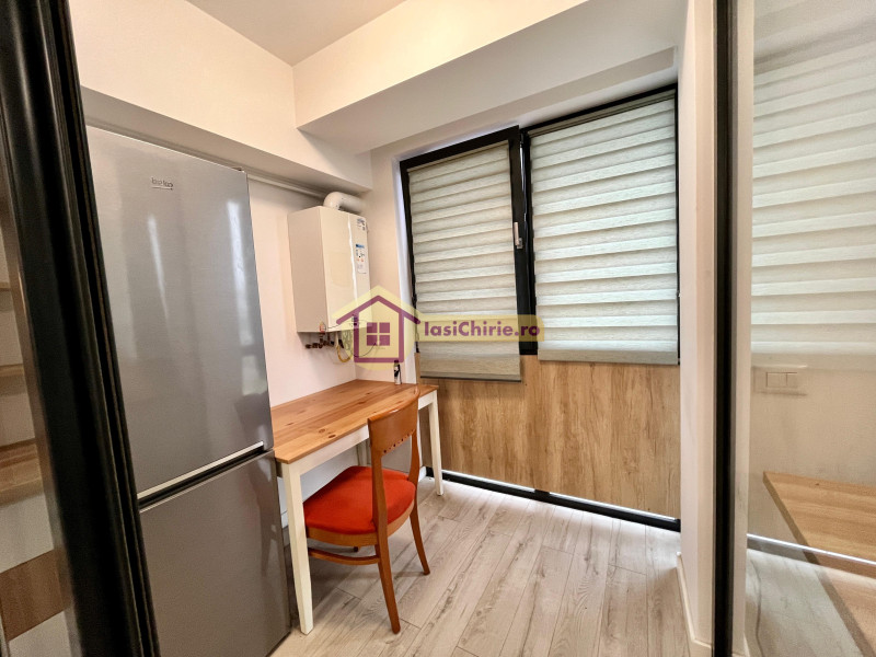 Apartament de inchiriat cu o camera in Iasi, zona Dacia - Poza 11