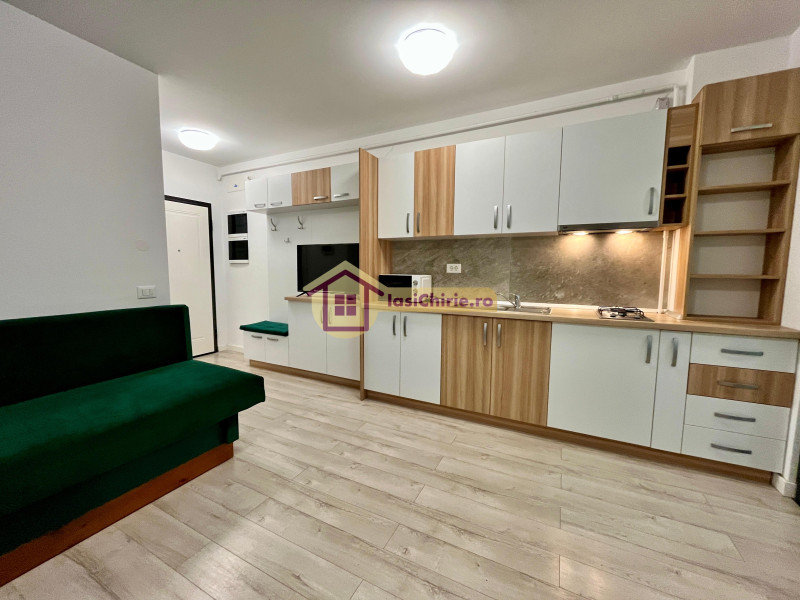 Apartament de inchiriat cu o camera in Iasi, zona Dacia - Poza 9