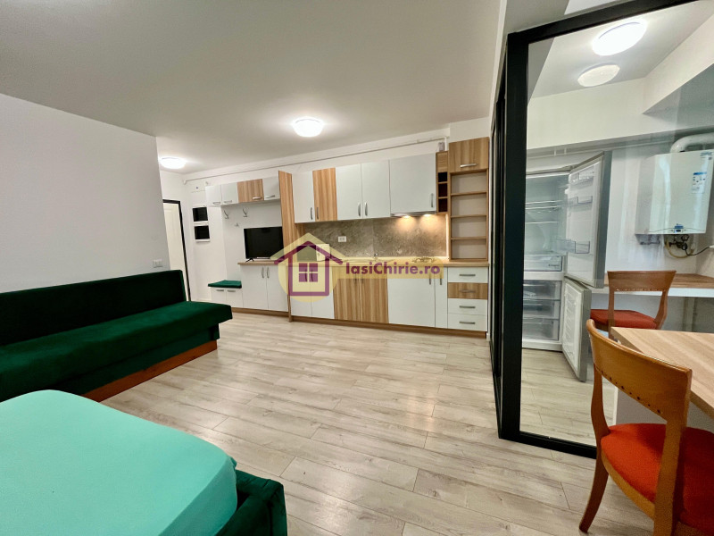 Apartament de inchiriat cu o camera in Iasi, zona Dacia - Poza 8