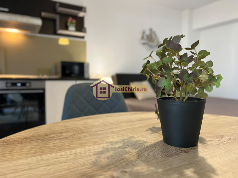 Apartament de inchiriat cu o camera in Iasi, zona Central - Poza 5