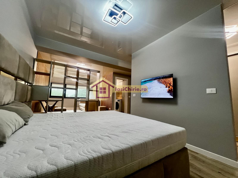 Apartament de inchiriat cu o camera in Iasi, zona Copou - Poza 3
