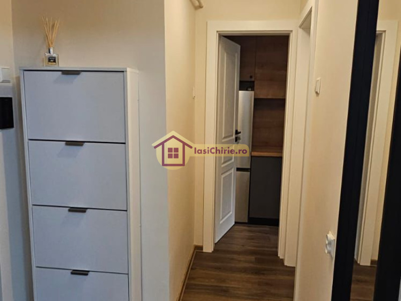 Apartament de inchiriat cu o camera in Iasi, zona Tudor Vladimirescu - Poza 10