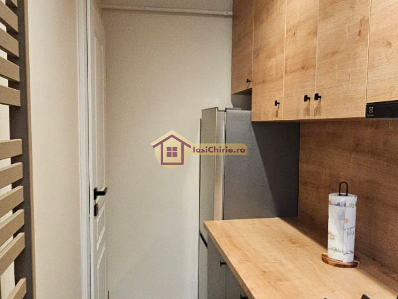 Apartament de inchiriat cu o camera in Iasi, zona Tudor Vladimirescu - Poza 9