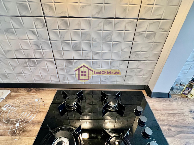 Apartament de inchiriat cu o camera in Iasi, zona Gara - Poza 11