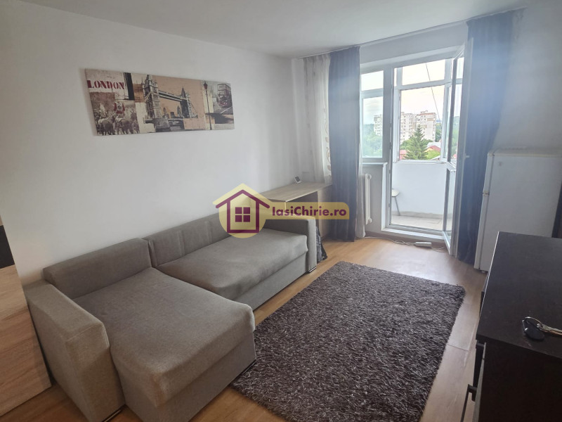 Apartament de inchiriat cu o camera in Iasi, zona Tatarasi - Poza 2