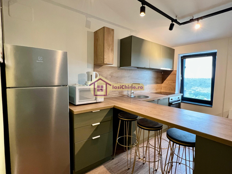 Apartament de inchiriat cu 3 camere in Iasi, zona Copou - Poza 11