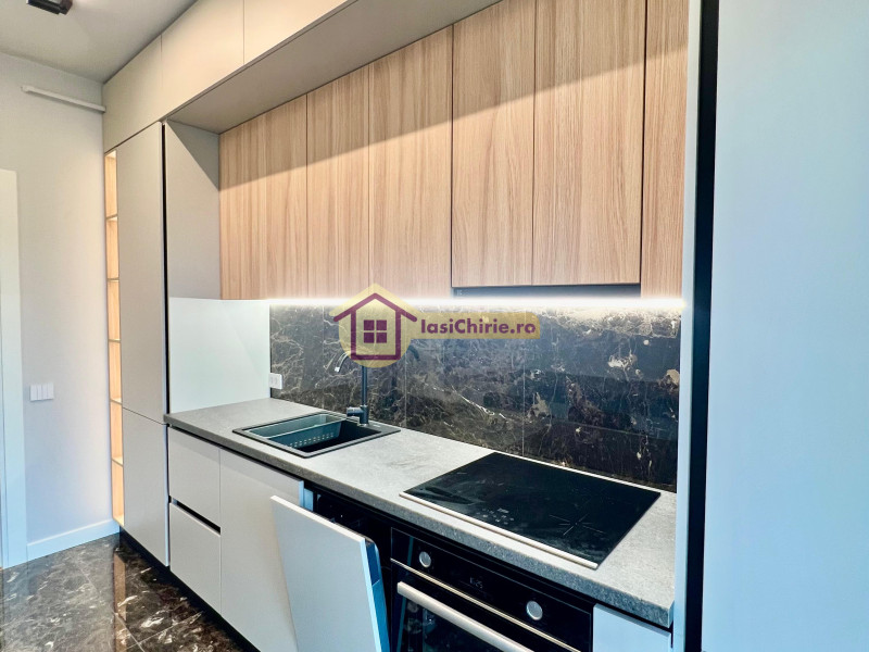 Apartament de inchiriat cu 2 camere in Iasi, zona Central - Poza 13