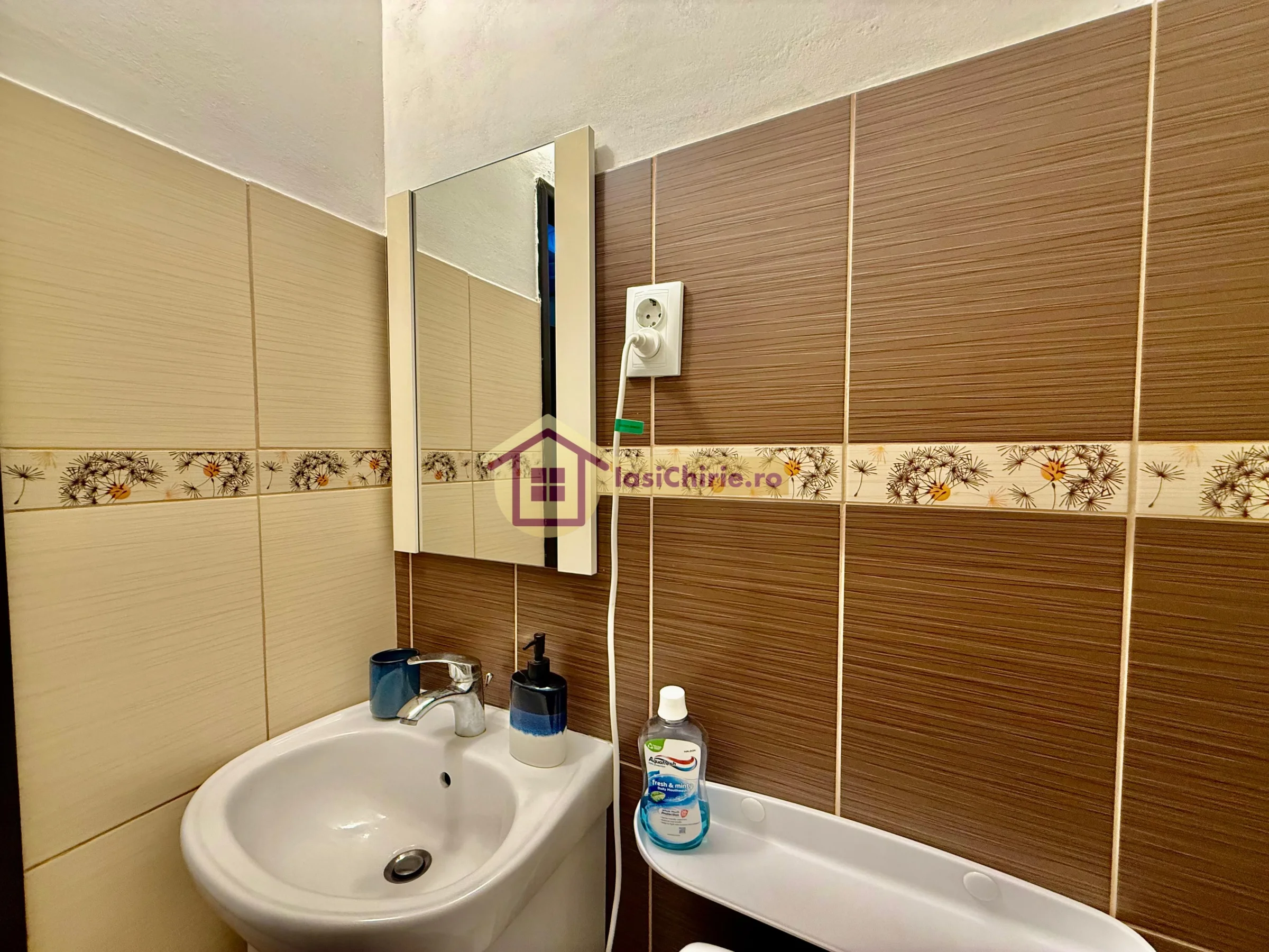 Apartament de inchiriat cu o camera in Iasi, zona Pacurari - Poza 11