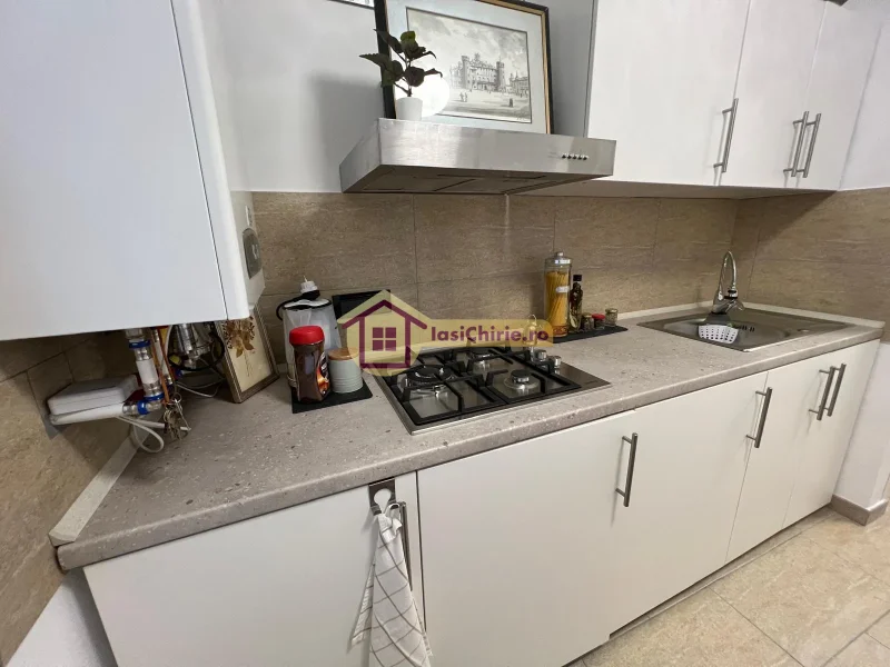 Apartament de inchiriat cu o camera in Iasi, zona Gara - Poza 3