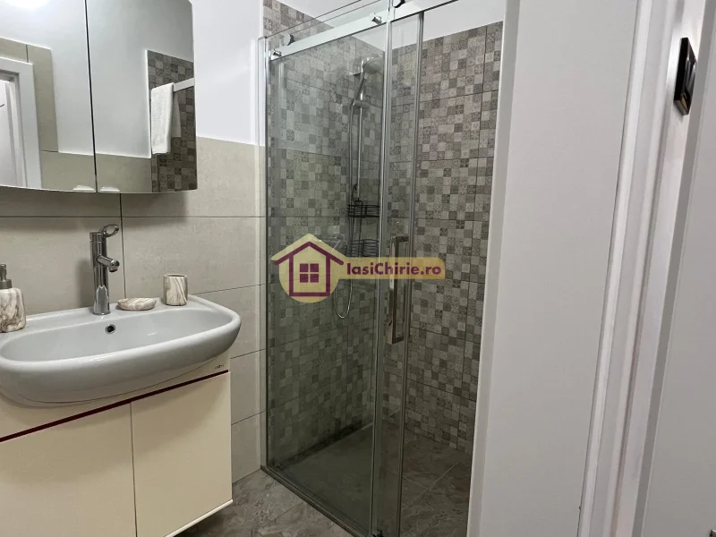 Apartament de inchiriat cu o camera in Iasi, zona Gara - Poza 7