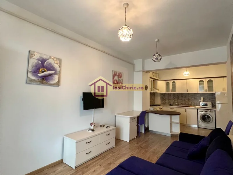 Apartament de inchiriat cu o camera in Iasi, zona Central - Poza 4