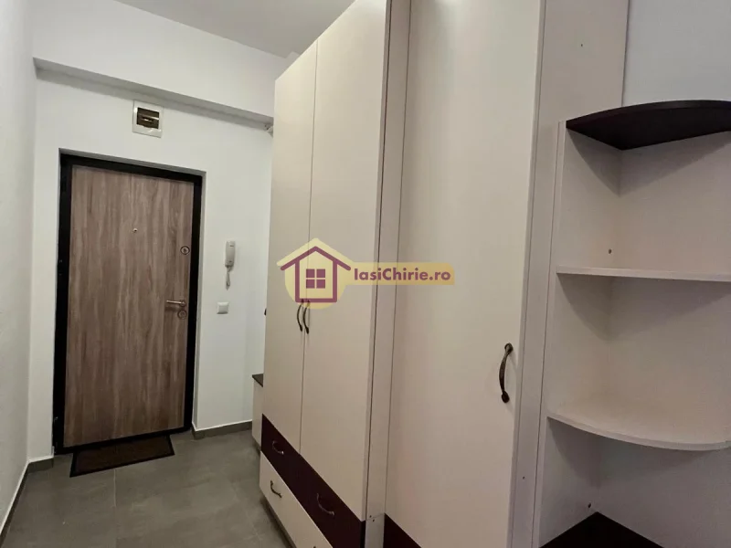 Apartament de inchiriat cu o camera in Iasi, zona Central - Poza 5