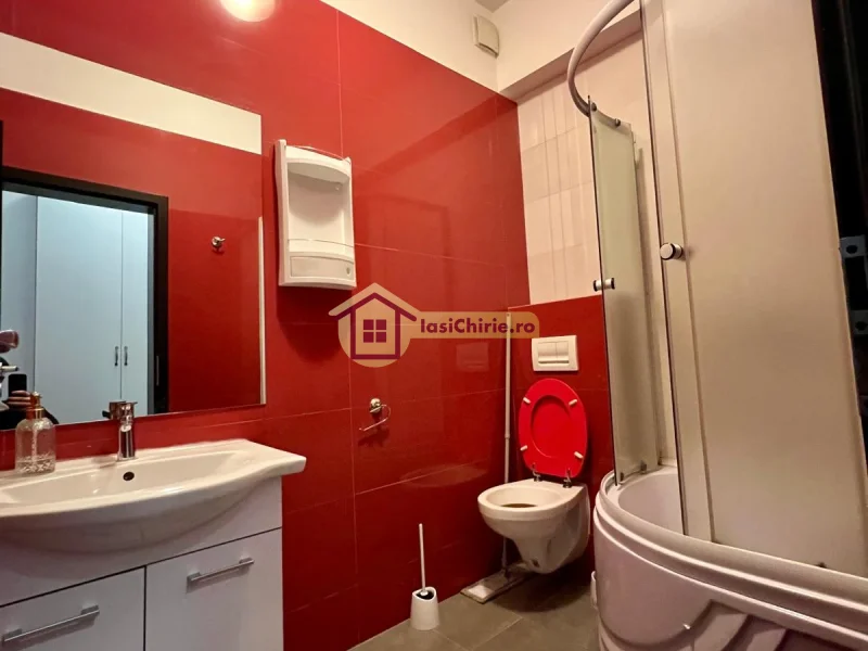 Apartament de inchiriat cu o camera in Iasi, zona Central - Poza 8