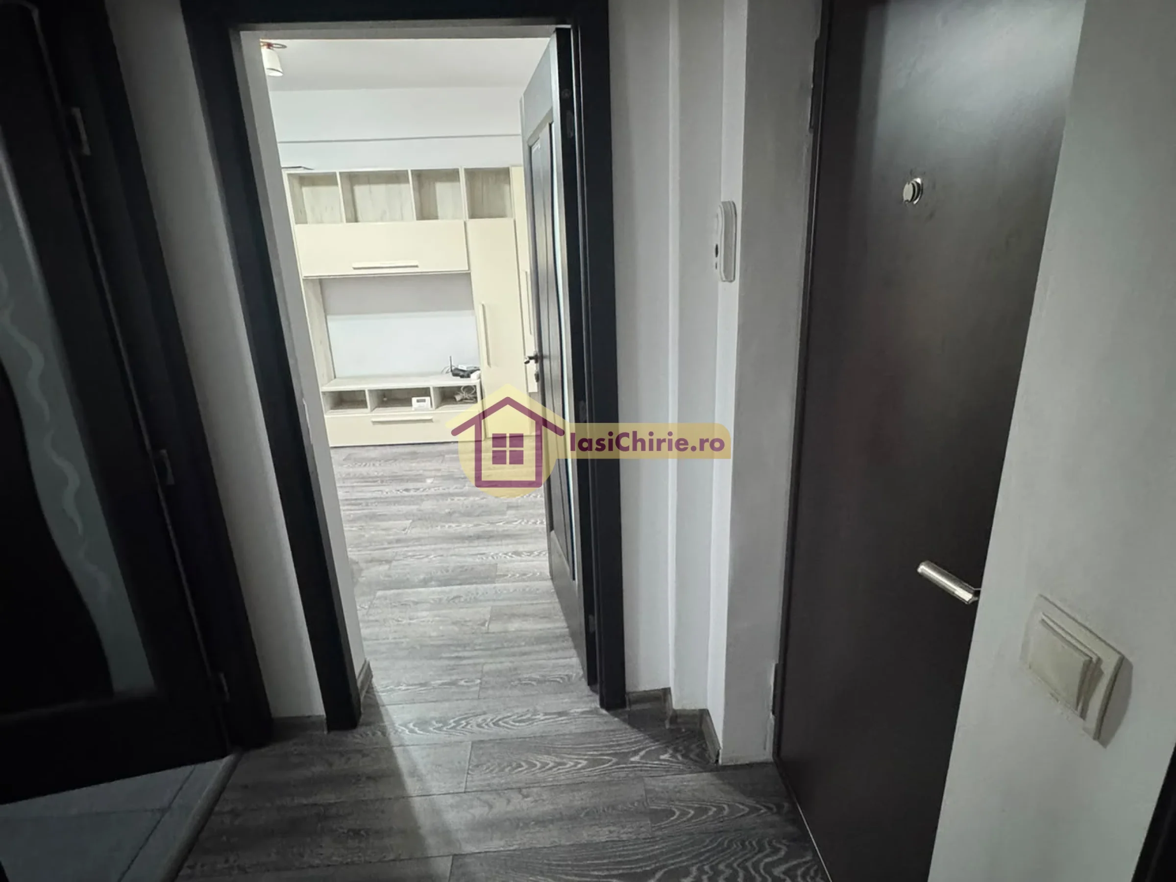 Apartament de inchiriat cu o camera in Iasi, zona Visani - Poza 3